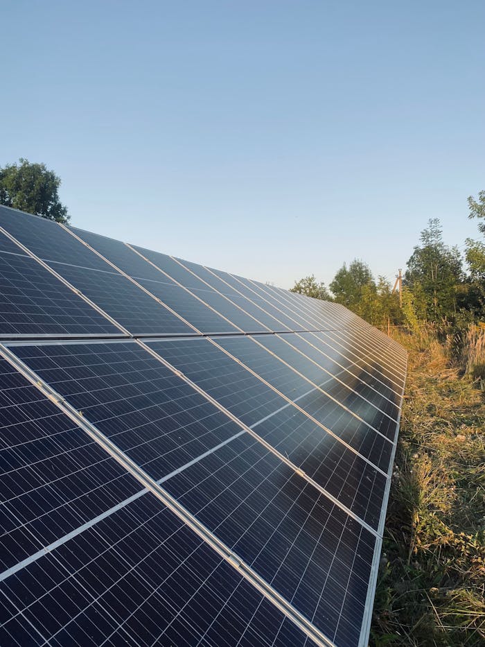 home-hero A field of solar panels harnessing sunlight for renewable energy.